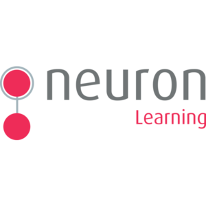 Neuron Learning